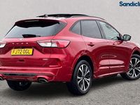 Used Ford Kuga ST-Line X 224 HP (164 kW) 2023 SUV