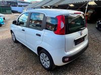 Used Fiat Panda Pop 69 HP (50 kW) 2015 White Hatchback