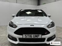 Used Ford Focus ST 250 HP (183 kW) 2016 White Hatchback