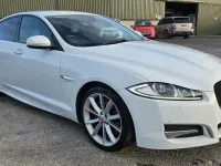 Used Jaguar XF R-Sport 163 HP (119 kW) 2014 White Sedan