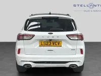 Used Ford Kuga ST-Line X 187 HP (137 kW) 2023 White SUV