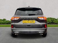 Used Ford Kuga ST-Line 190 HP (139 kW) 2023 Grey SUV