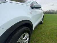 Used Kia Sportage 2017 White SUV