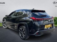 Used Lexus UX 250h 184 HP (135 kW) 2024 SUV