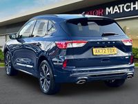 Used Ford Kuga ST-Line X 2023 Blue SUV
