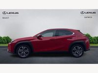 Used Lexus UX 150 kW (204 HP) 2025 Red SUV
