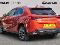 Used Lexus UX Sport Line 184 HP (135 kW) 2023 Blazing carnelian SUV