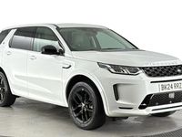 Used Land Rover Discovery Sport S 309 HP (227 kW) 2024 White SUV
