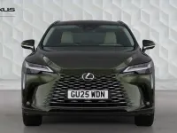 Used Lexus RX350h 2025 Green Estate