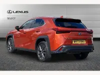 Used Lexus UX 250h Sport Design Packet 184 HP (135 kW) 2023 Orange SUV