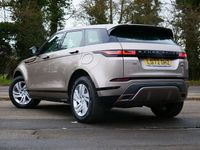 Used Land Rover Range Rover evoque R-Dynamic 309 HP (227 kW) 2023 Bronze SUV