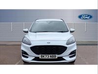 Used Ford Kuga ST-Line 150 HP (110 kW) 2023 White SUV