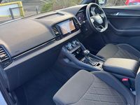 Used Skoda Karoq SportLine 150 HP (110 kW) 2025 White SUV