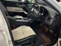 Used Jaguar XF R-Sport 250 HP (183 kW) 2019 White Sedan