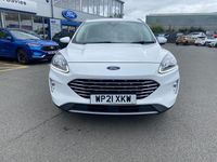 Used Ford Kuga Titanium 2021 Frozen white SUV