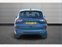 Used Ford Kuga ST-Line X 225 HP (165 kW) 2023 Blue SUV