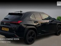 Used Lexus UX 250h 184 HP (135 kW) 2024 SUV