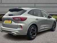 Used Ford Kuga ST-Line X 239 HP (175 kW) 2025 Silver SUV