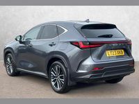 Used Lexus NX450h+ 301 HP (221 kW) 2023 Grey SUV