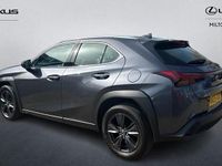 Used Lexus UX 300h 2025 Grey SUV