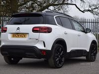 Used Citroën C5 136 HP (100 kW) 2024 White Hatchback