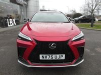 New Lexus NX350h Sport Line 2026 Red Estate
