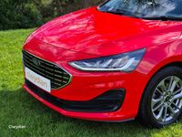 Used Ford Focus Titanium 125 HP (91 kW) 2023 Red Hatchback