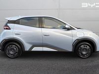 New BYD Dolphin Active 64 kW (88 HP) 2025 Other Hatchback