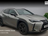 Used Lexus UX 250h 184 HP (135 kW) 2024 SUV