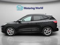 Used Ford Kuga ST-Line 150 HP (110 kW) 2023 Black SUV