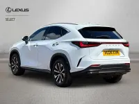 Used Lexus NX450h+ 2026 White SUV