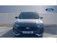 Used Ford Kuga ST-Line X 150 HP (110 kW) 2025 Grey SUV