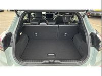 Used Ford Puma ST-Line X 155 HP (114 kW) 2025 Grey SUV