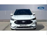 Used Ford Kuga ST-Line 150 HP (110 kW) 2024 Other SUV