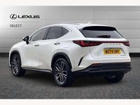 Used Lexus NX450h+ 306 HP (225 kW) 2024 White SUV