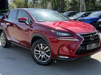 Used Lexus NX300h Luxury Line 2016 SUV