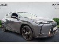 Used Lexus UX 250h 184 HP (135 kW) 2024 SUV