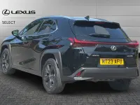 Used Lexus UX 181 HP (133 kW) 2023 Velvet black SUV