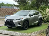 Used Lexus NX300h Sport Line 197 HP (144 kW) 2019 Silver SUV
