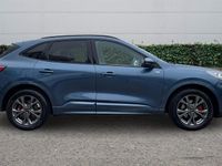 Used Ford Kuga ST-Line 150 HP (110 kW) 2023 SUV