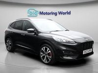 Used Ford Kuga ST-Line X 190 HP (139 kW) 2023 SUV