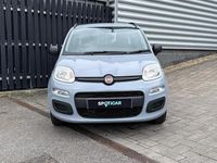 Used Fiat Panda Easy 69 HP (50 kW) 2020 Grey Hatchback