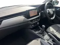 Used Skoda Kamiq SE L 150 HP (110 kW) 2022 Grey SUV