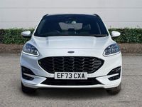 Used Ford Kuga ST-Line X 190 HP (139 kW) 2023 SUV