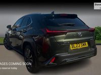 Used Lexus UX 250h Sport Design Packet 2023 Green SUV