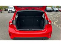 Used Ford Focus Titanium 125 HP (91 kW) 2022 Red Hatchback