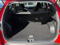 Used Hyundai Tucson Premium 150 HP (110 kW) 2024 SUV