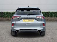 Used Ford Kuga ST-Line X 2023 Silver SUV
