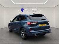 Used Ford Kuga ST-Line 150 HP (110 kW) 2022 Blue SUV