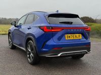 New Lexus NX450h+ Sport Line 2026 SUV